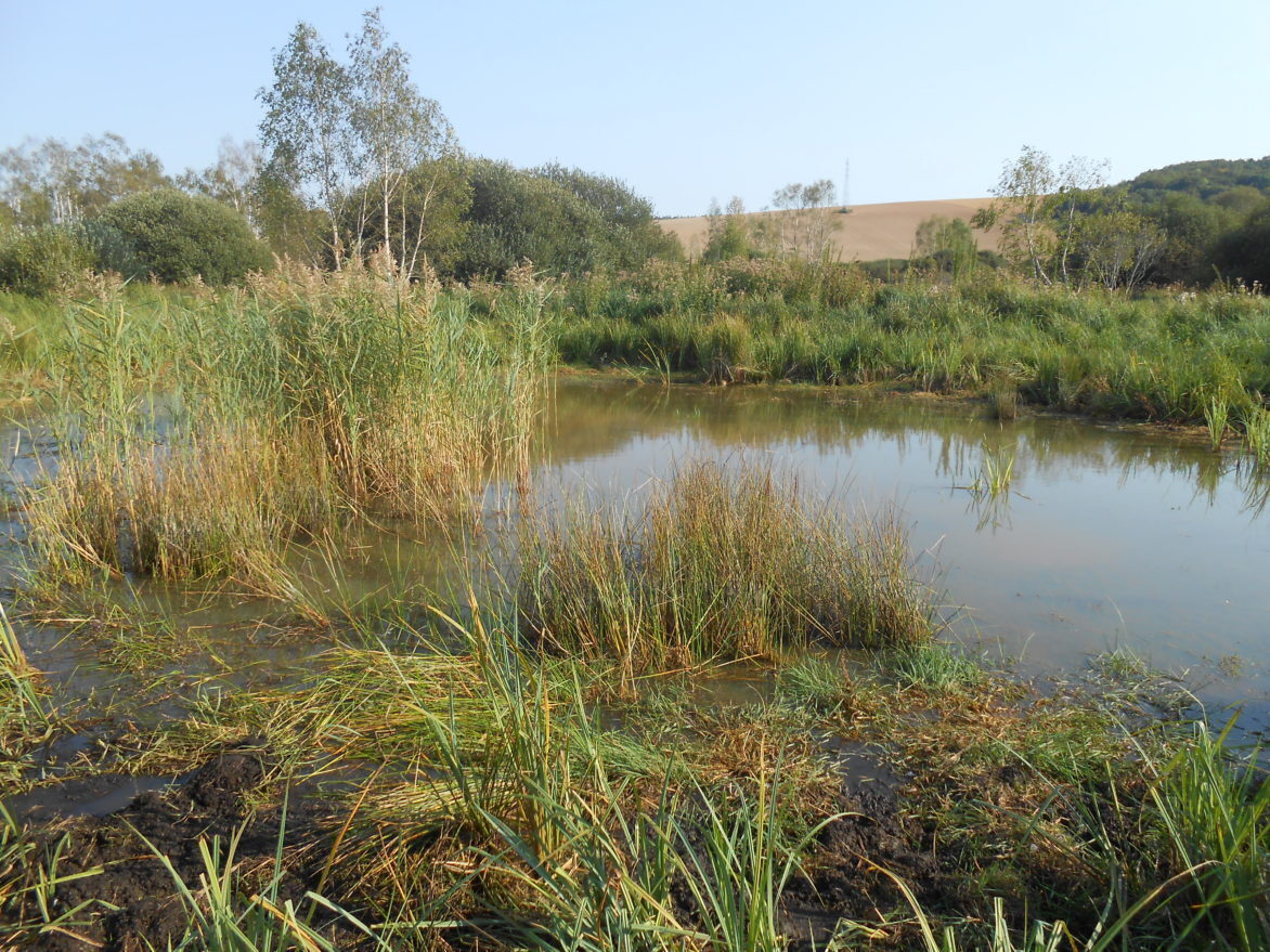 marais